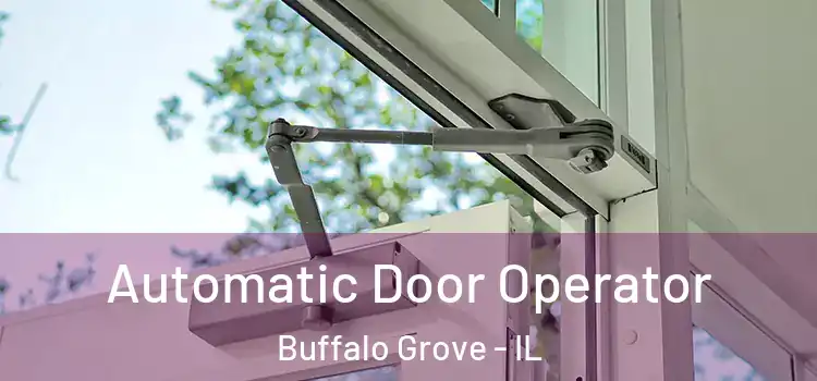 Automatic Door Operator Buffalo Grove - IL