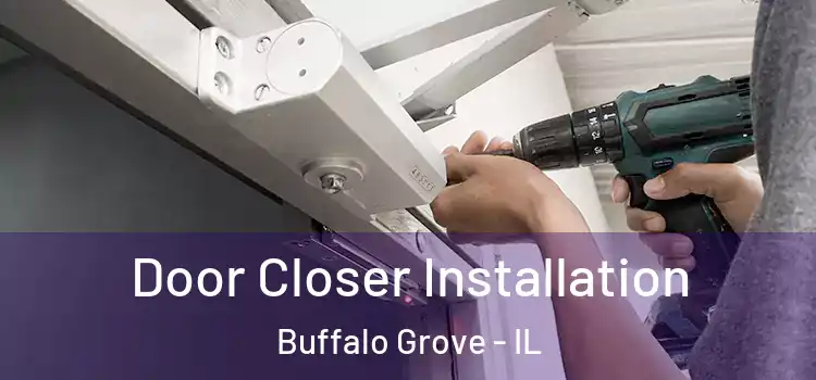 Door Closer Installation Buffalo Grove - IL