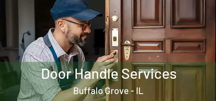 Door Handle Services Buffalo Grove - IL