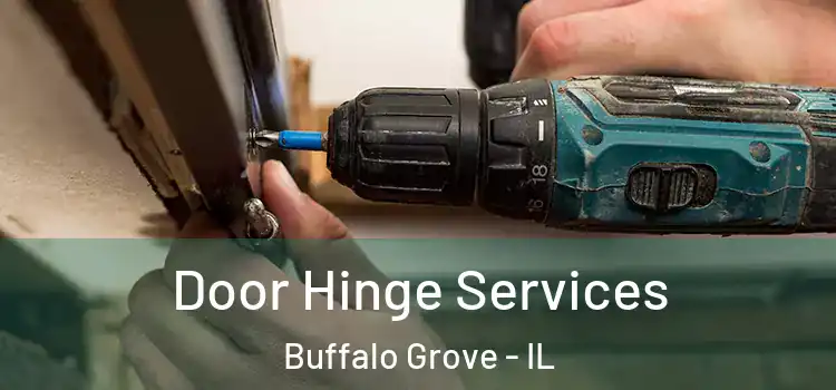 Door Hinge Services Buffalo Grove - IL
