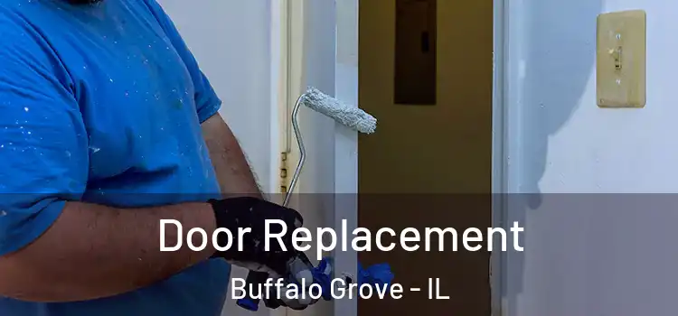 Door Replacement Buffalo Grove - IL