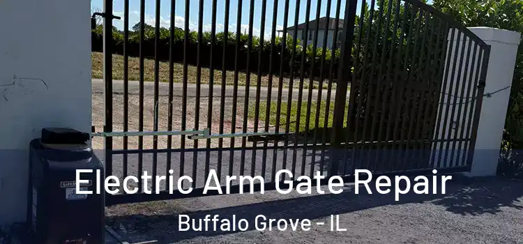Electric Arm Gate Repair Buffalo Grove - IL