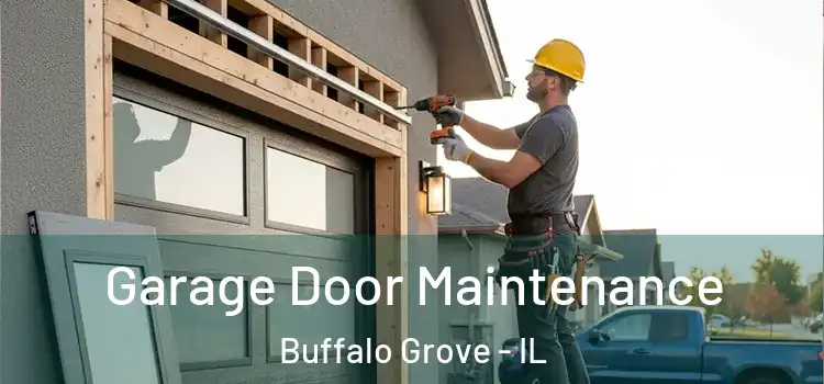 Garage Door Maintenance Buffalo Grove - IL