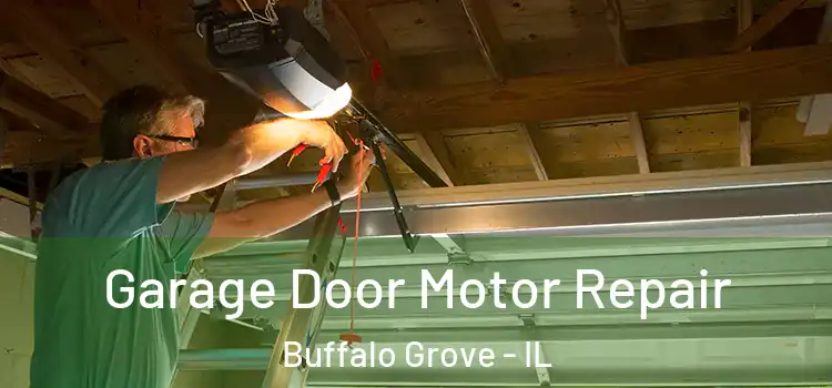  Garage Door Motor Repair Buffalo Grove - IL