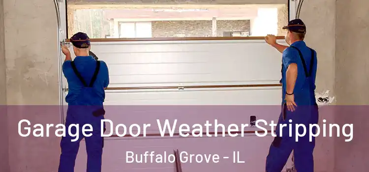  Garage Door Weather Stripping Buffalo Grove - IL