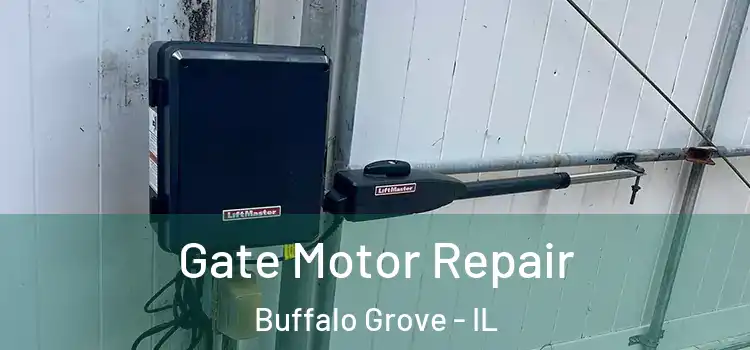 Gate Motor Repair Buffalo Grove - IL