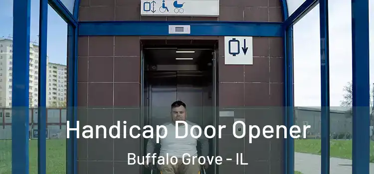Handicap Door Opener Buffalo Grove - IL