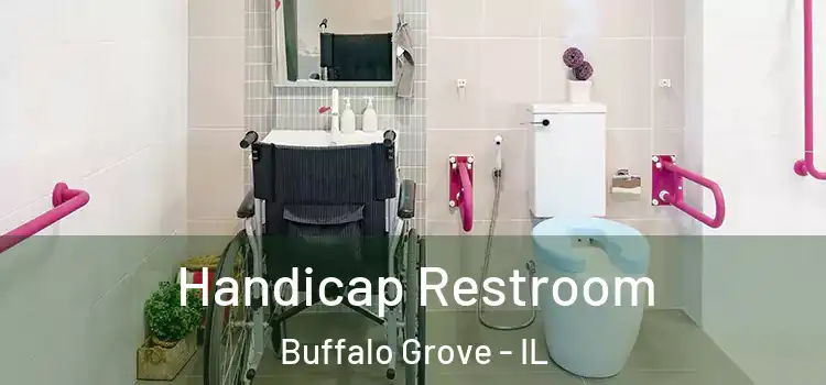 Handicap Restroom Buffalo Grove - IL