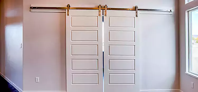 Glass Barn Door with Installation Hardware Kit Buffalo Grove