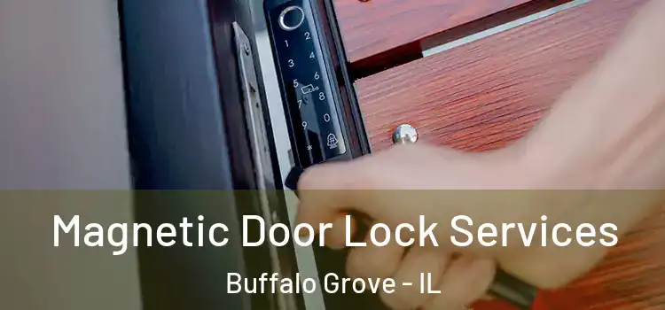 Magnetic Door Lock Services Buffalo Grove - IL