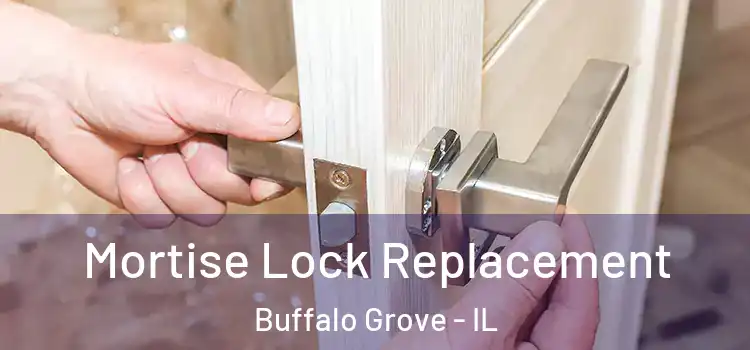Mortise Lock Replacement Buffalo Grove - IL