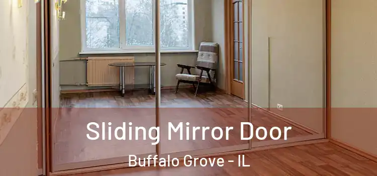  Sliding Mirror Door Buffalo Grove - IL